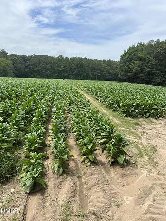 8 Acres of Land for Sale in Middlesex, North Carolina