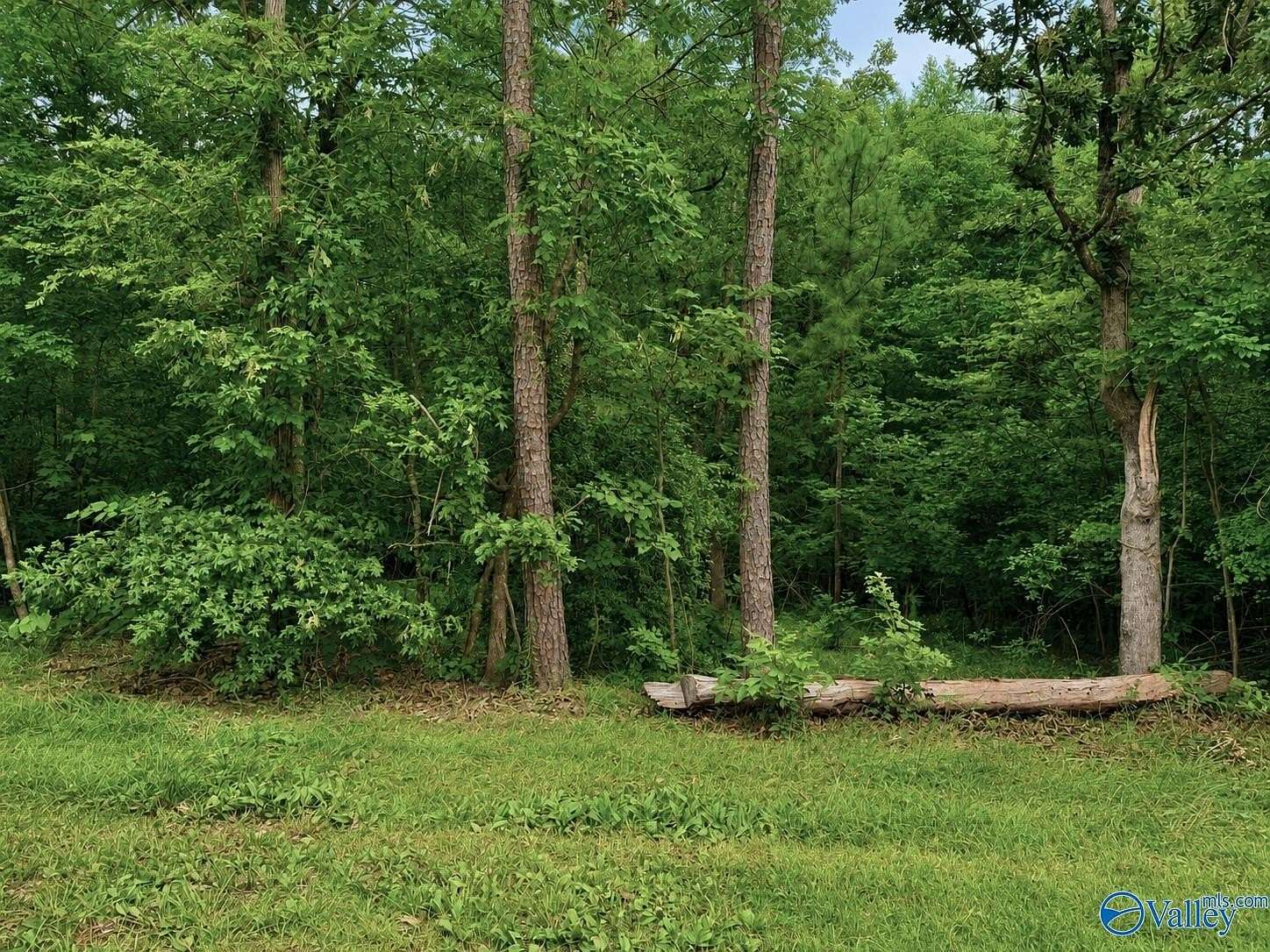 0.47 Acres of Land for Sale in Cedar Bluff, Alabama