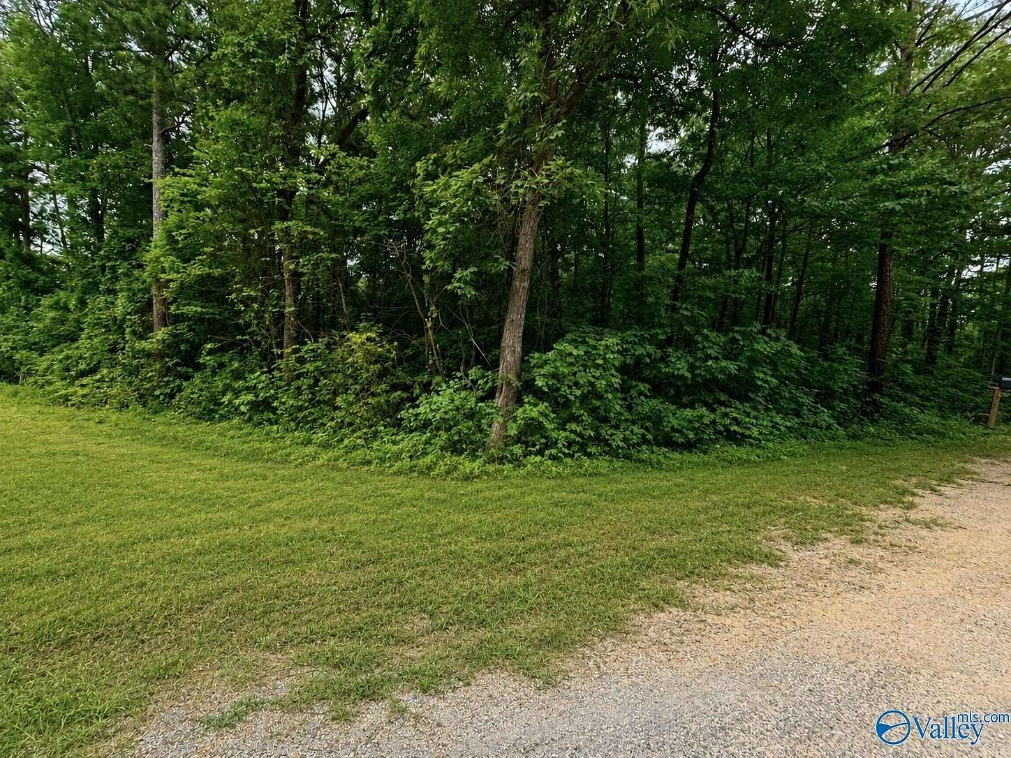 0.46 Acres of Land for Sale in Cedar Bluff, Alabama