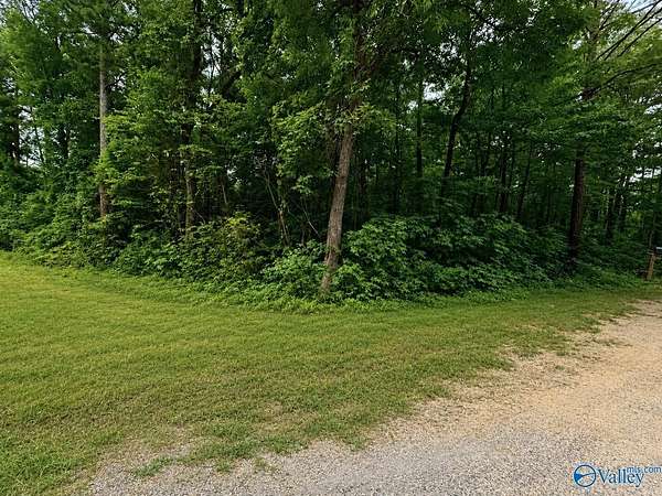 0.46 Acres of Land for Sale in Cedar Bluff, Alabama