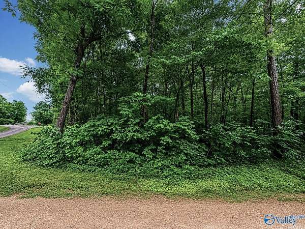 0.46 Acres of Land for Sale in Cedar Bluff, Alabama
