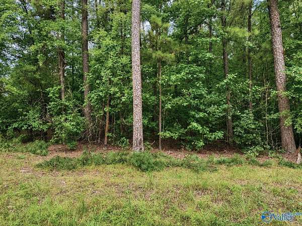 0.46 Acres of Residential Land for Sale in Cedar Bluff, Alabama