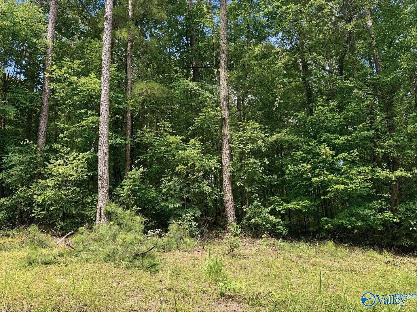 0.46 Acres of Residential Land for Sale in Cedar Bluff, Alabama