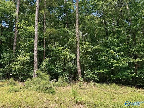 0.46 Acres of Residential Land for Sale in Cedar Bluff, Alabama