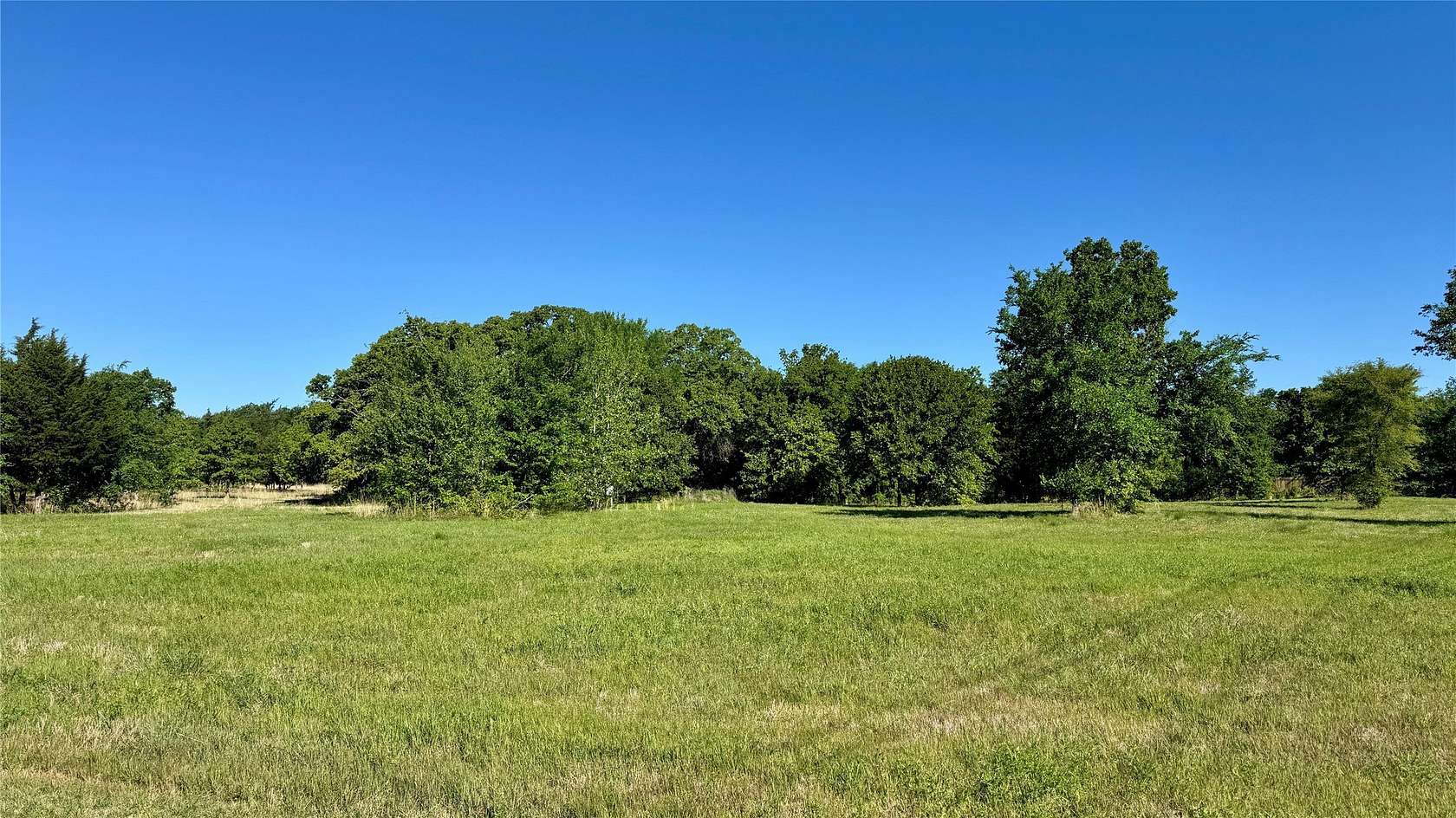 14 Acres of Recreational & Residential Land for Sale in Wills Point, Texas