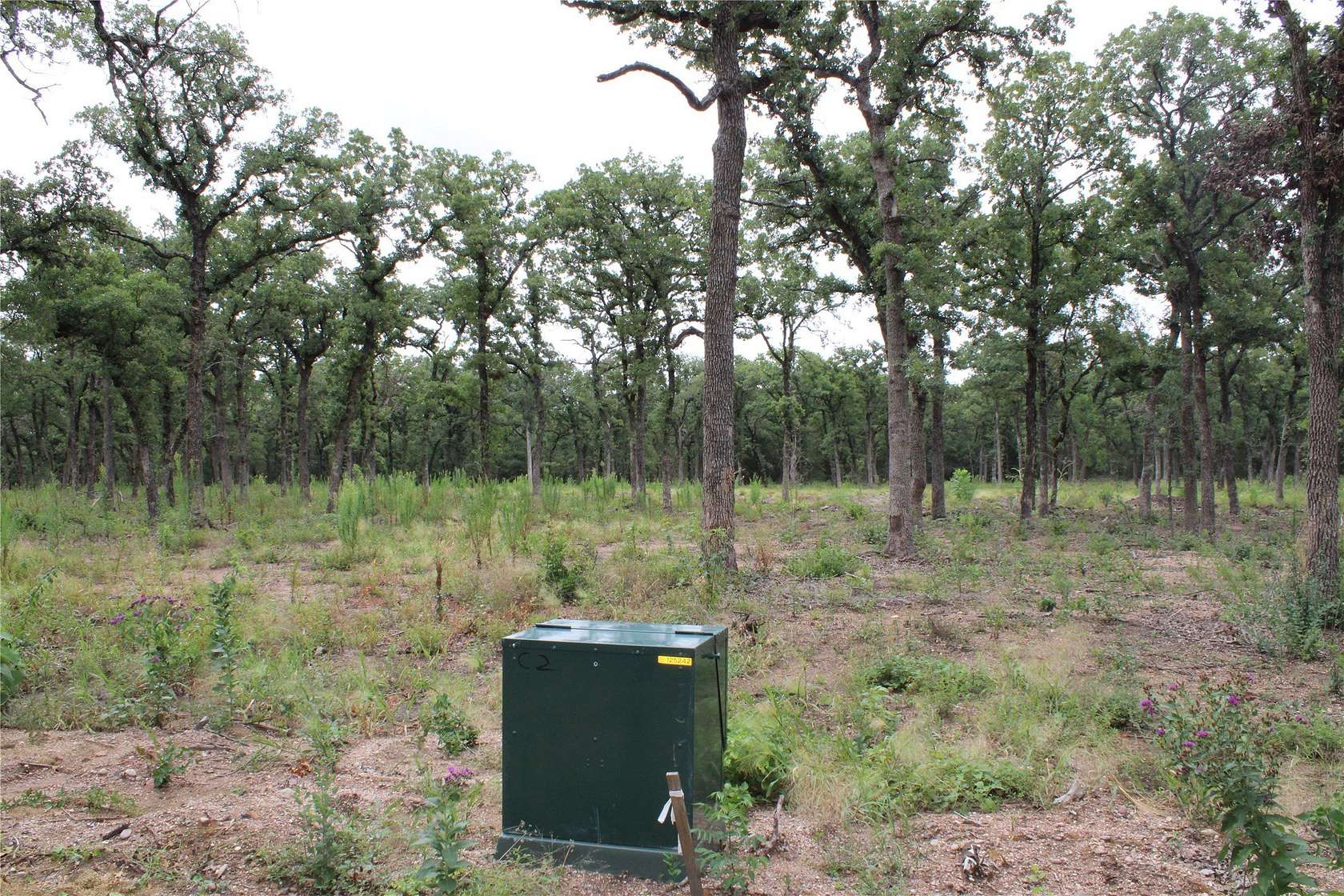 8.22 Acres of Residential Land for Sale in West, Texas