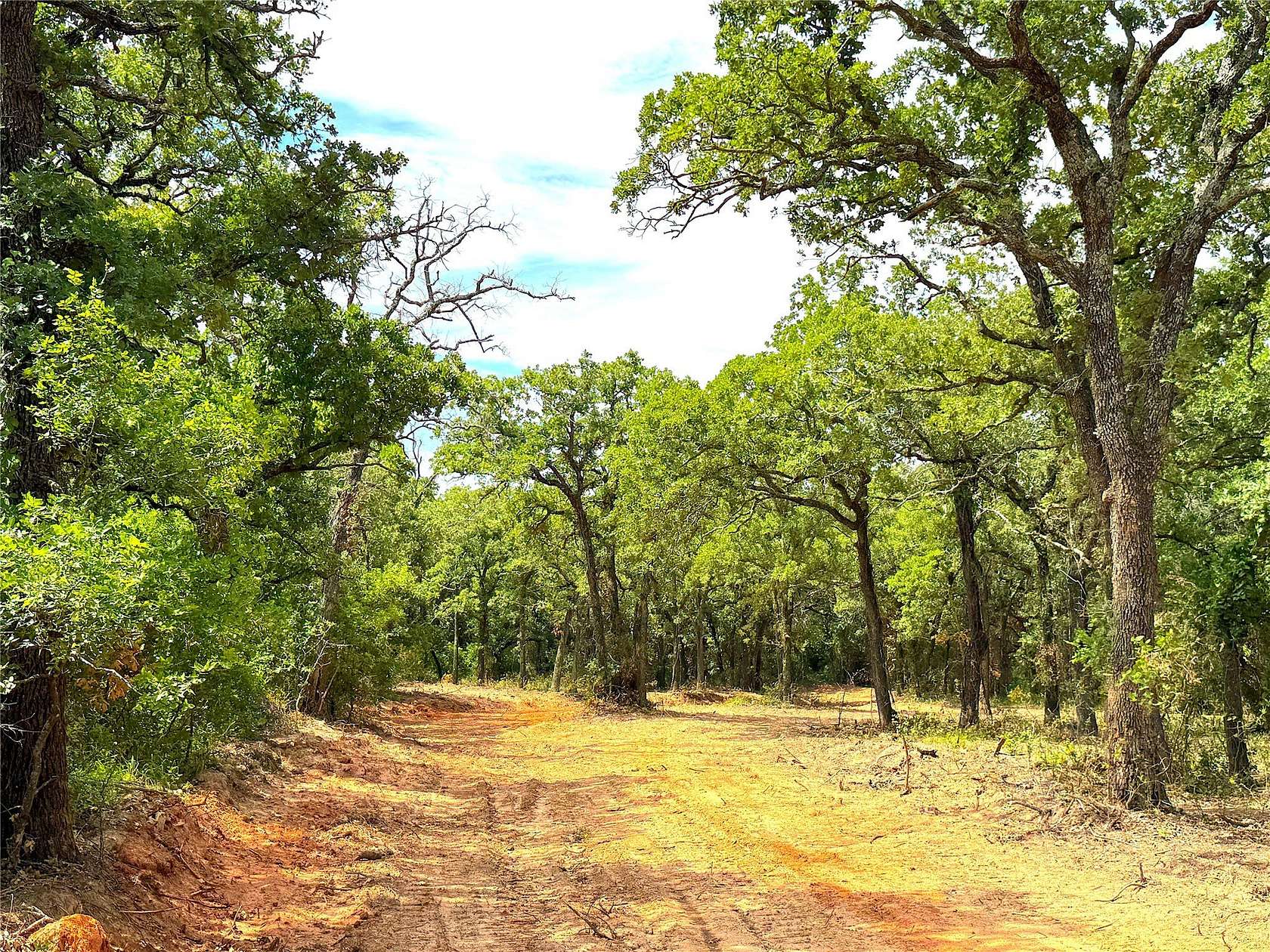 55 Acres of Land for Sale in Poolville, Texas