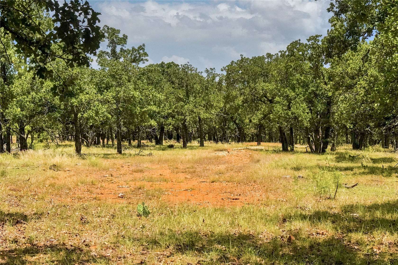 16.5 Acres of Land for Sale in Jacksboro, Texas