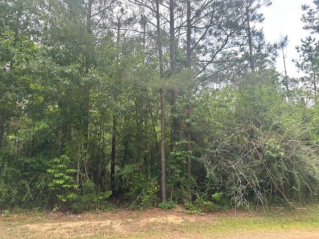 4 Acres of Residential Land for Sale in Wesson, Mississippi
