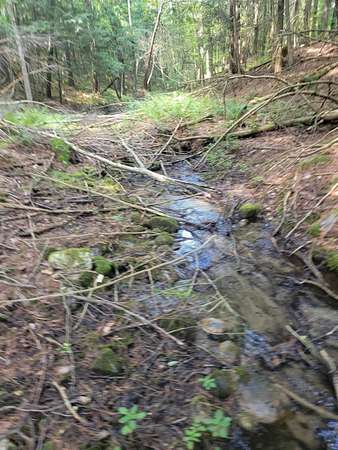 17.3 Acres of Land for Sale in Shaftsbury, Vermont