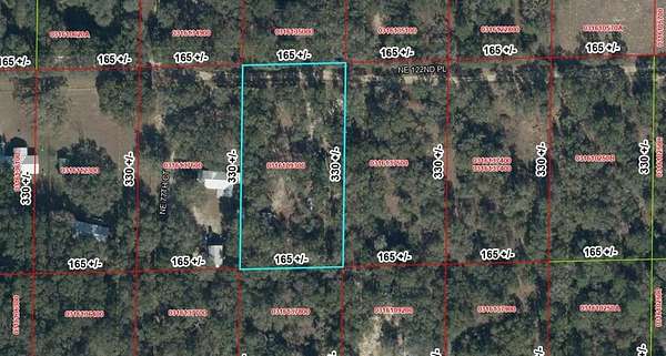 1.25 Acres of Land for Sale in Bronson, Florida