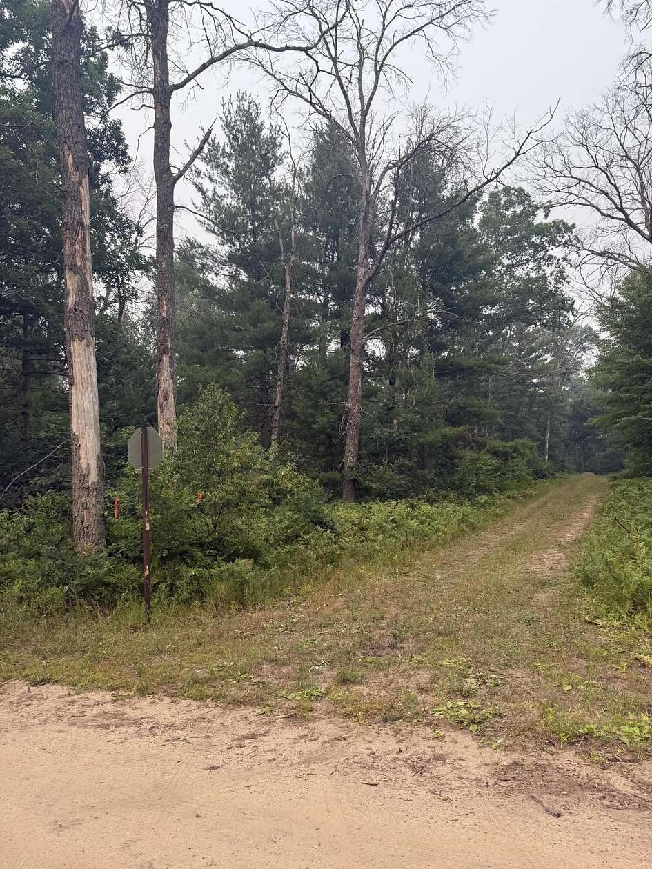 0.72 Acres of Land for Sale in Baldwin, Michigan