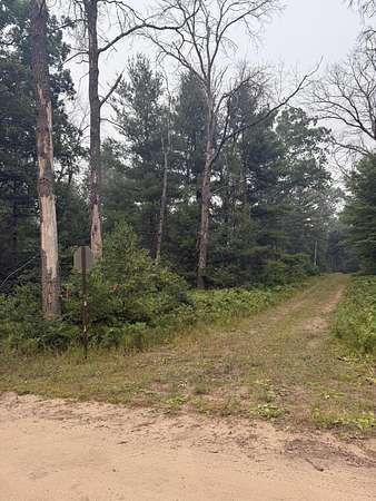 0.72 Acres of Land for Sale in Baldwin, Michigan