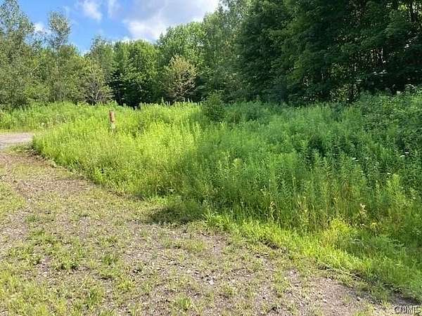 5.6 Acres of Residential Land for Sale in Cortland, New York