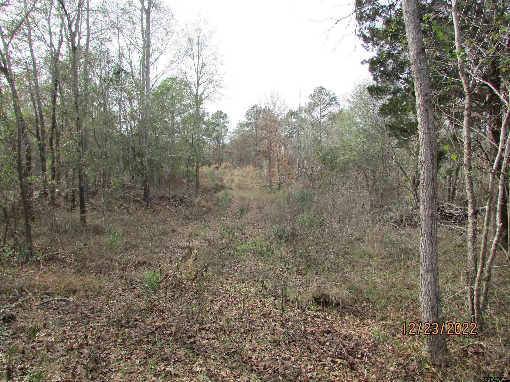 9.27 Acres of Residential Land for Sale in LaRue, Texas