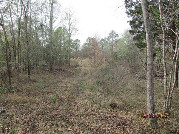 9.27 Acres of Residential Land for Sale in LaRue, Texas