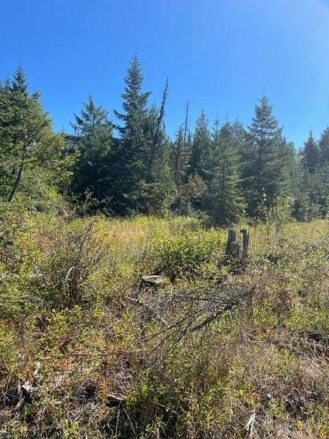 20 Acres of Recreational Land for Sale in Ione, Washington