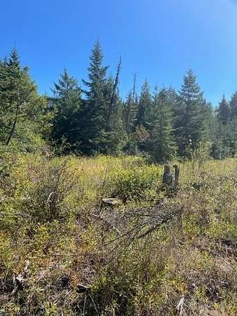 20 Acres of Recreational Land for Sale in Ione, Washington
