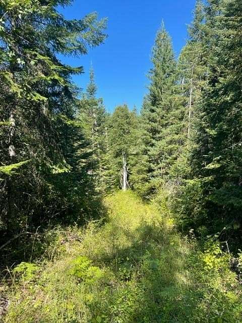 20 Acres of Recreational Land for Sale in Ione, Washington