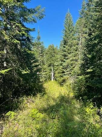 20 Acres of Recreational Land for Sale in Ione, Washington