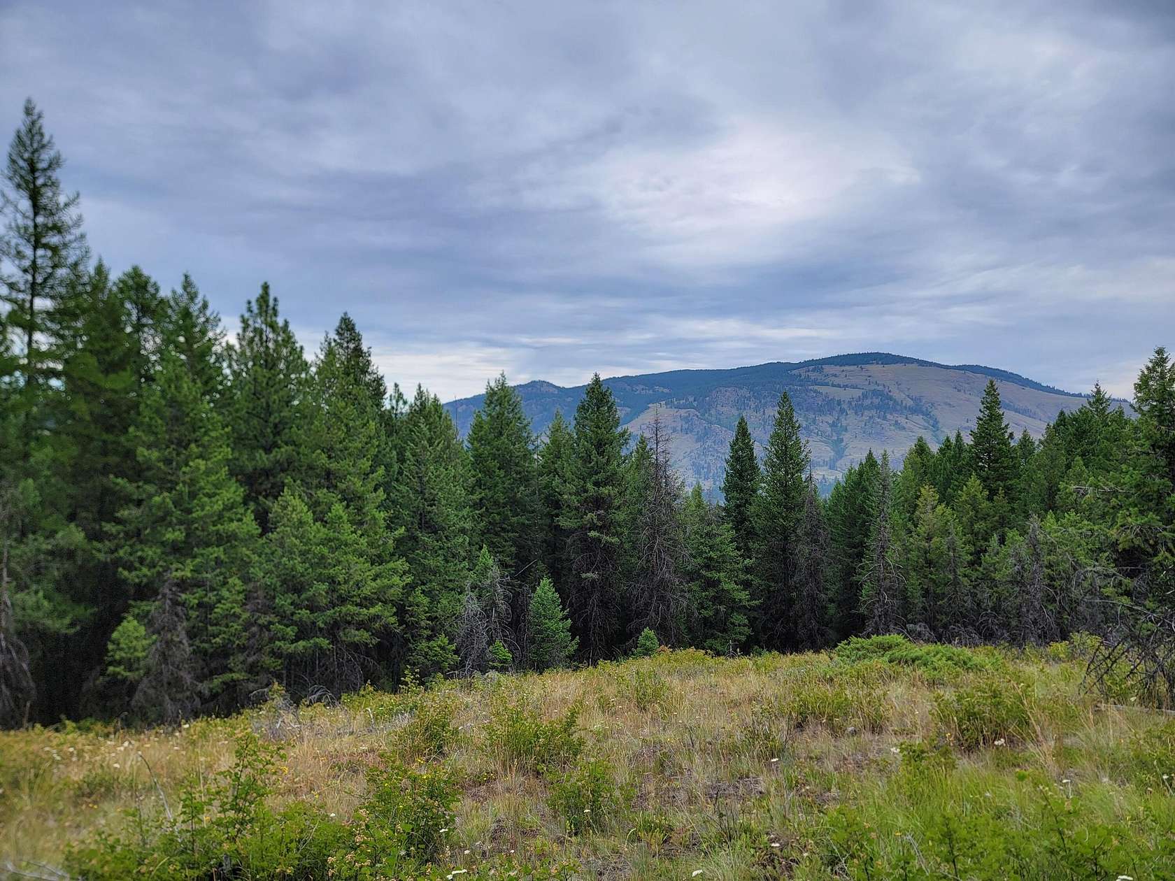 20 Acres of Recreational Land for Sale in Curlew, Washington