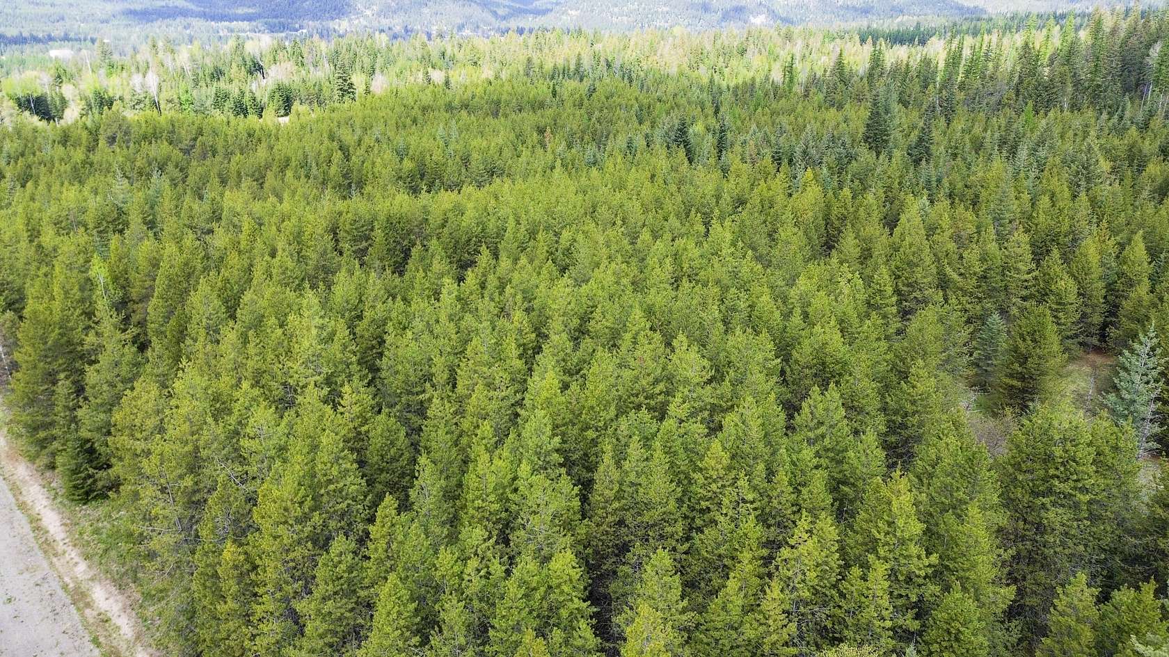 21.8 Acres of Recreational Land for Sale in Ione, Washington