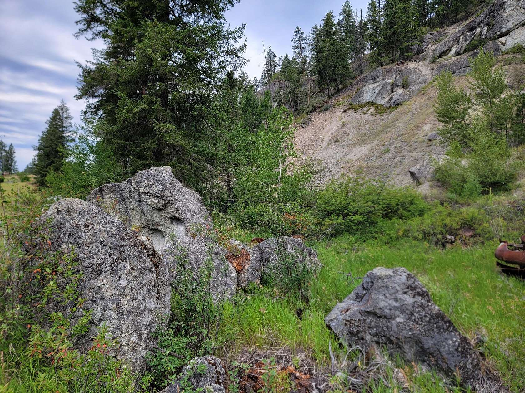 1 Acre of Residential Land for Sale in Curlew, Washington