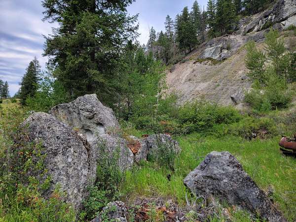 1 Acre of Residential Land for Sale in Curlew, Washington