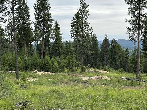 15.6 Acres of Recreational Land for Sale in Republic, Washington
