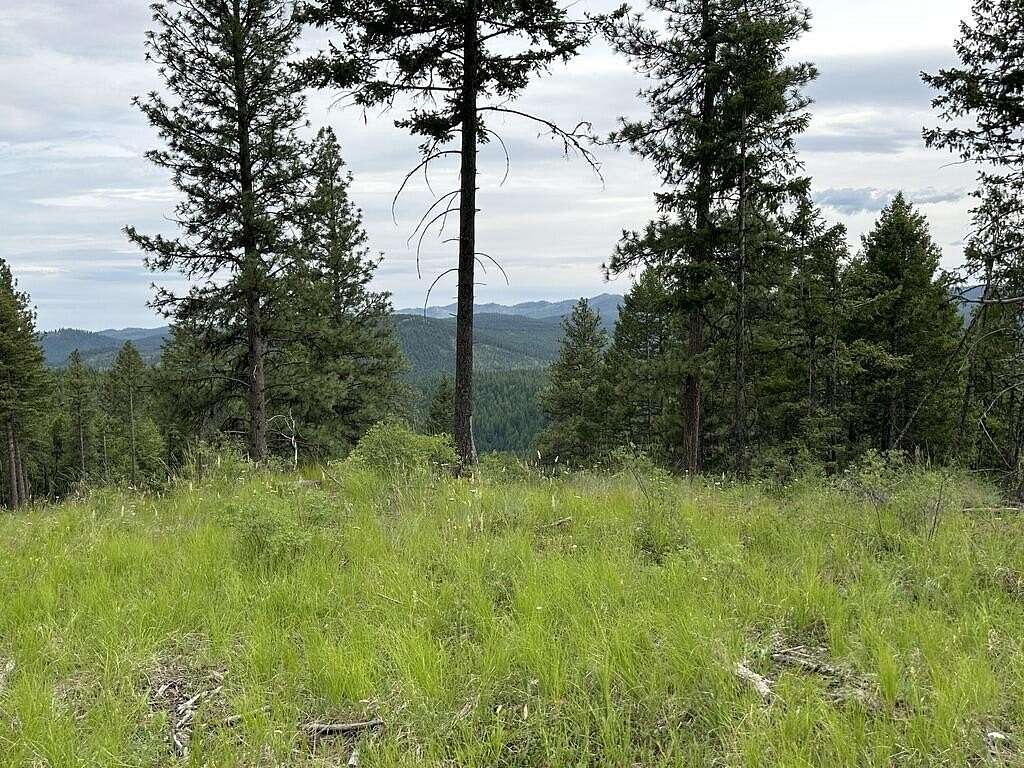 11 Acres of Recreational Land for Sale in Republic, Washington