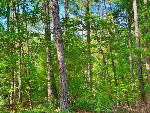 45.8 Acres of Recreational Land for Sale in Haynesville, Louisiana