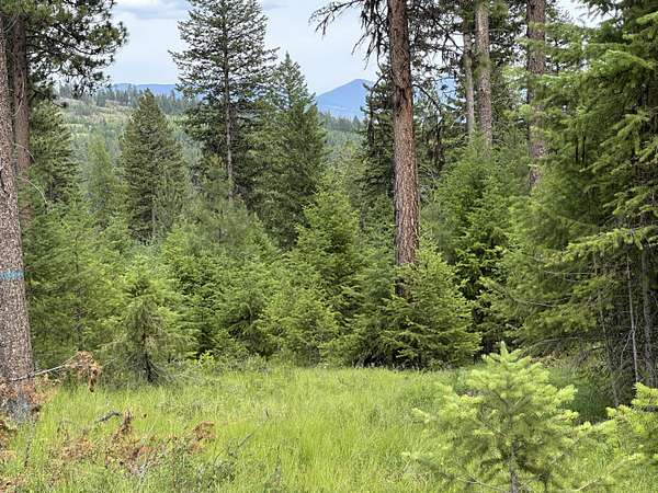 3 Acres of Land for Sale in Republic, Washington