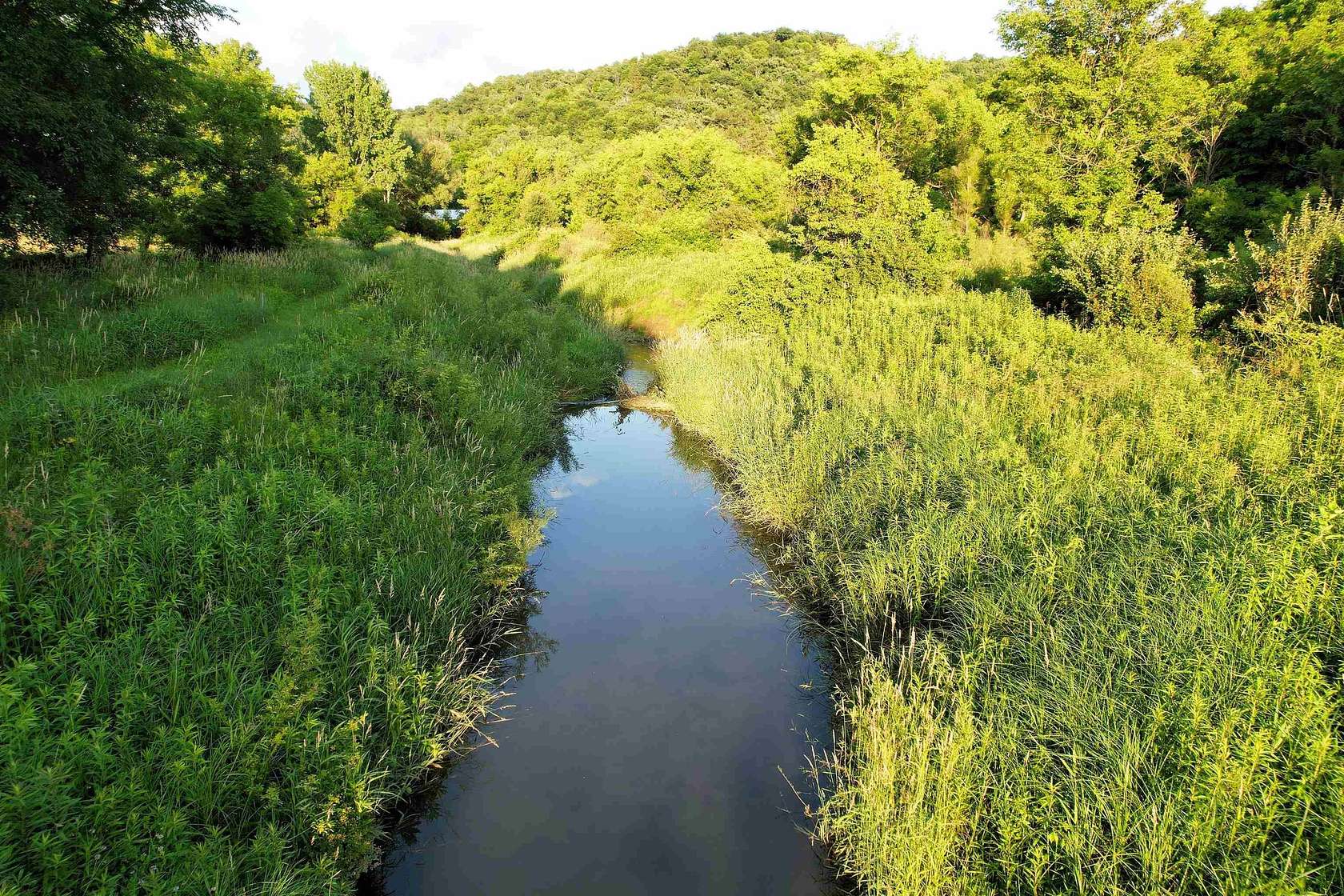86 Acres of Land for Sale in Soldiers Grove, Wisconsin
