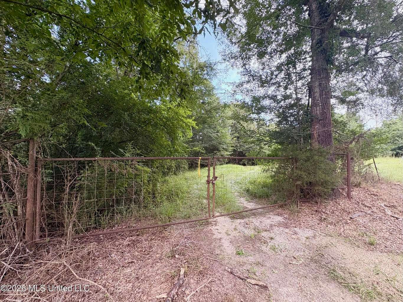 57.3 Acres of Land for Sale in Gloster, Mississippi