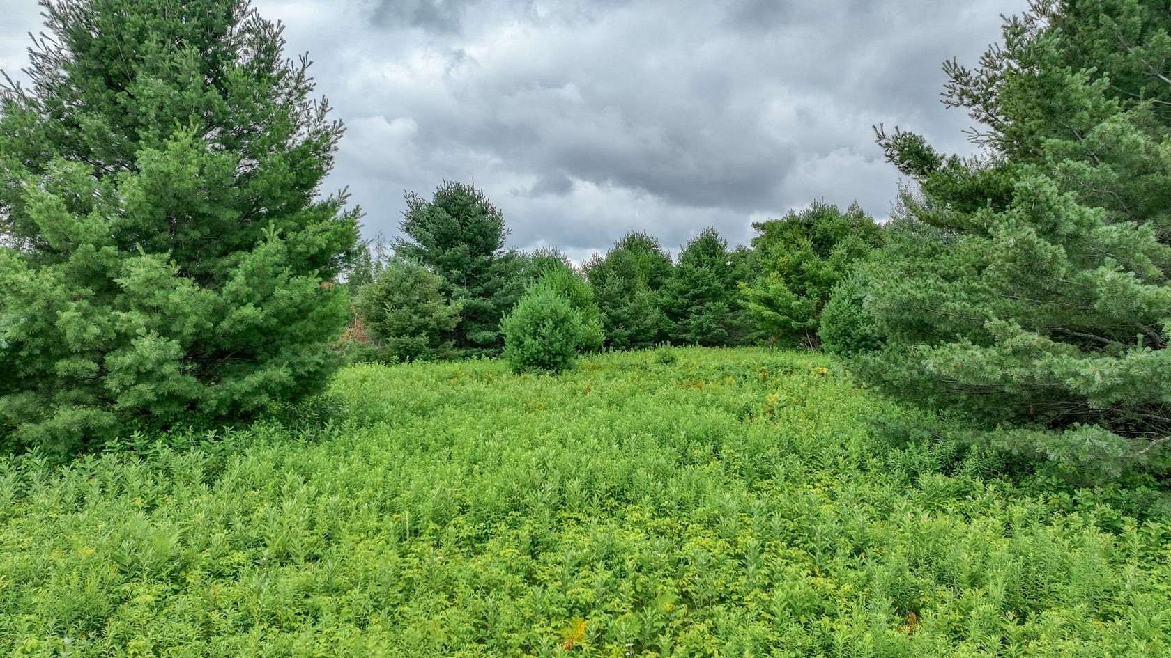 16 Acres of Recreational & Residential Land for Sale in Hayward Town, Wisconsin