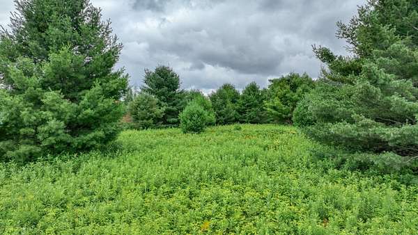 16 Acres of Recreational & Residential Land for Sale in Hayward Town, Wisconsin