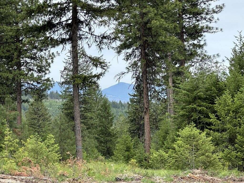 20 Acres of Recreational Land for Sale in Republic, Washington