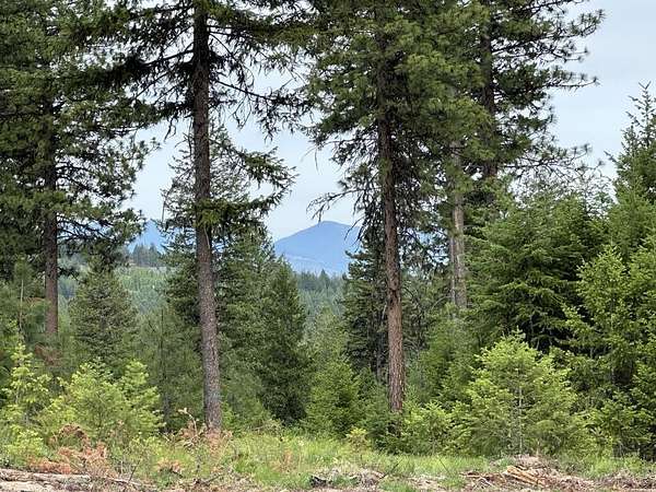 20 Acres of Recreational Land for Sale in Republic, Washington