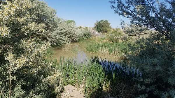 14.2 Acres of Agricultural Land for Sale in Myton, Utah