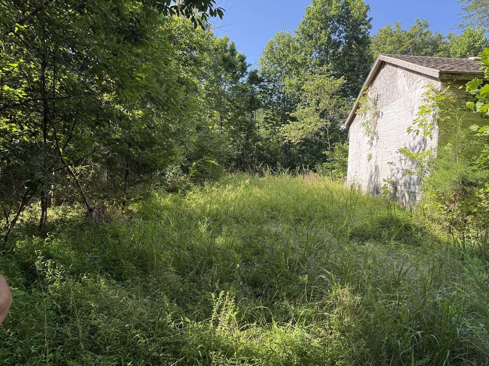 11.3 Acres of Recreational & Residential Land for Sale in Columbia, Kentucky