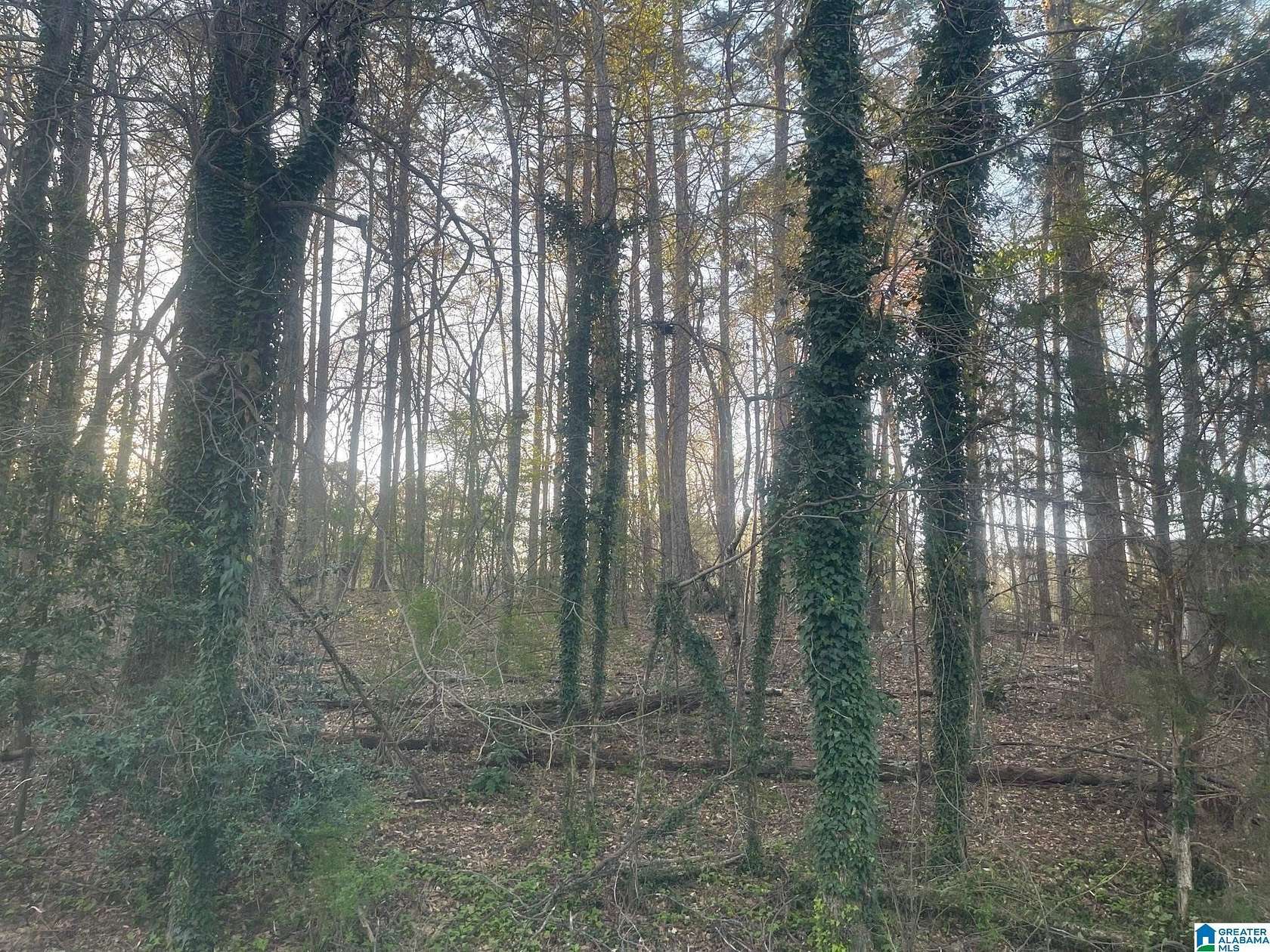 0.5 Acres of Residential Land for Sale in Jasper, Alabama