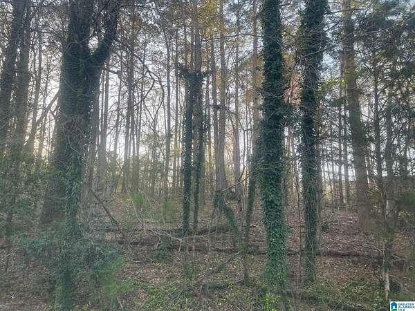 0.5 Acres of Residential Land for Sale in Jasper, Alabama