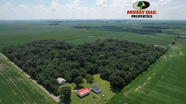 29.8 Acres of Land with Home for Sale in Bement, Illinois