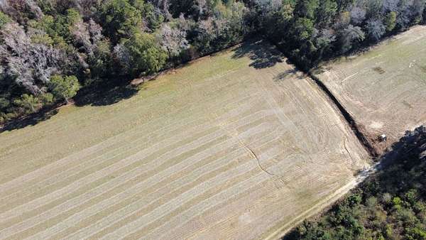 20.9 Acres of Recreational & Residential Land for Sale in Nichols, South Carolina