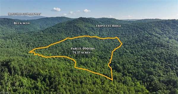 75.4 Acres of Recreational & Residential Land for Sale in Purlear, North Carolina