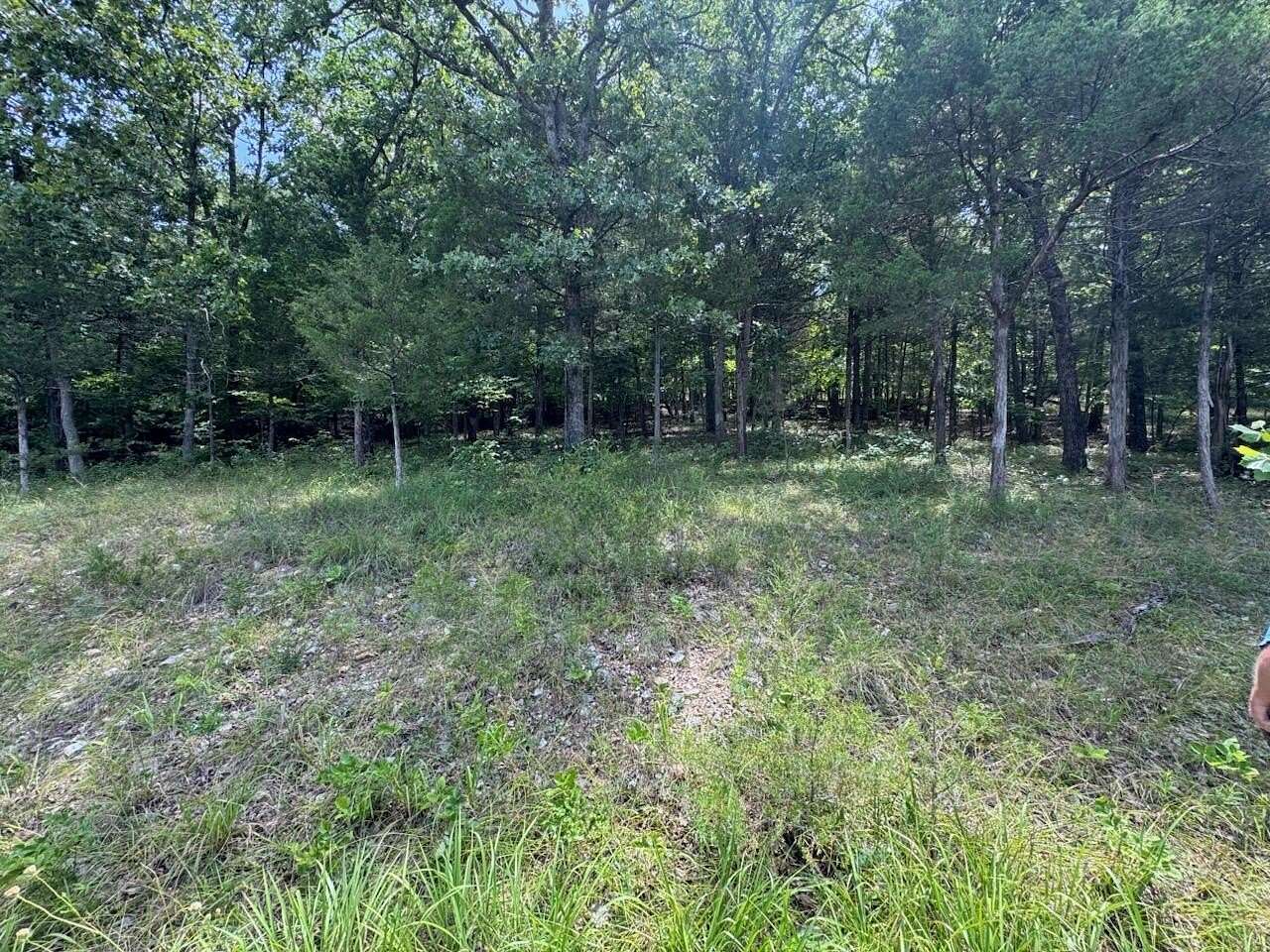 1 Acre of Land for Sale in Saddlebrooke, Missouri