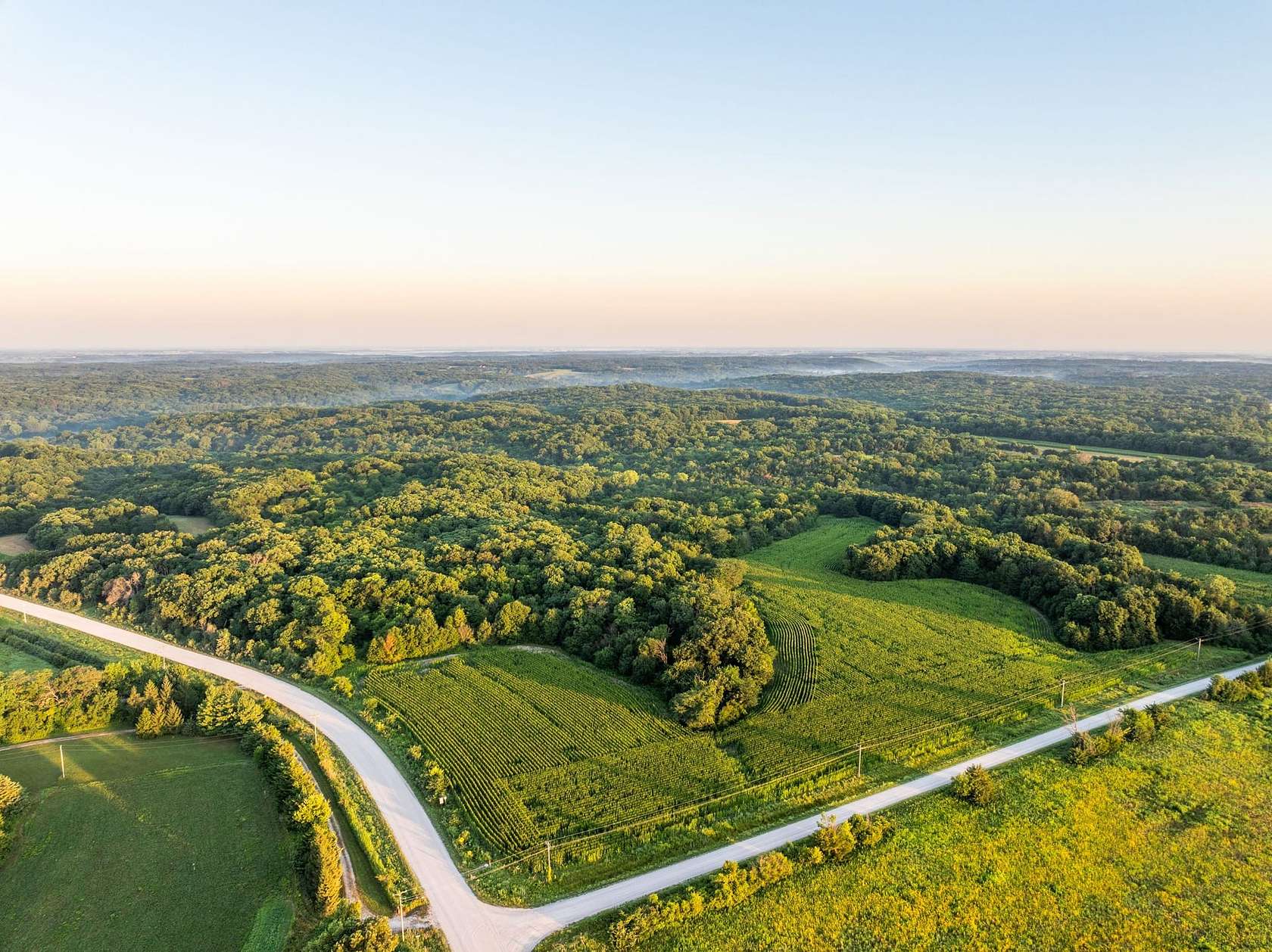 95.5 Acres of Land for Sale in Albia, Iowa