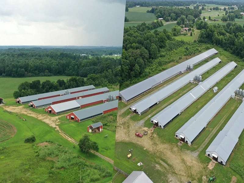 54.5 Acres of Agricultural & Residential Land for Sale in Fyffe, Alabama