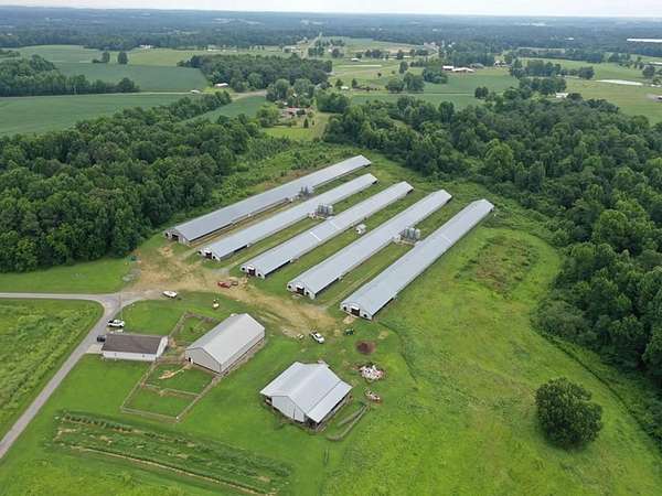 35 Acres of Agricultural & Residential Land for Sale in Fyffe, Alabama