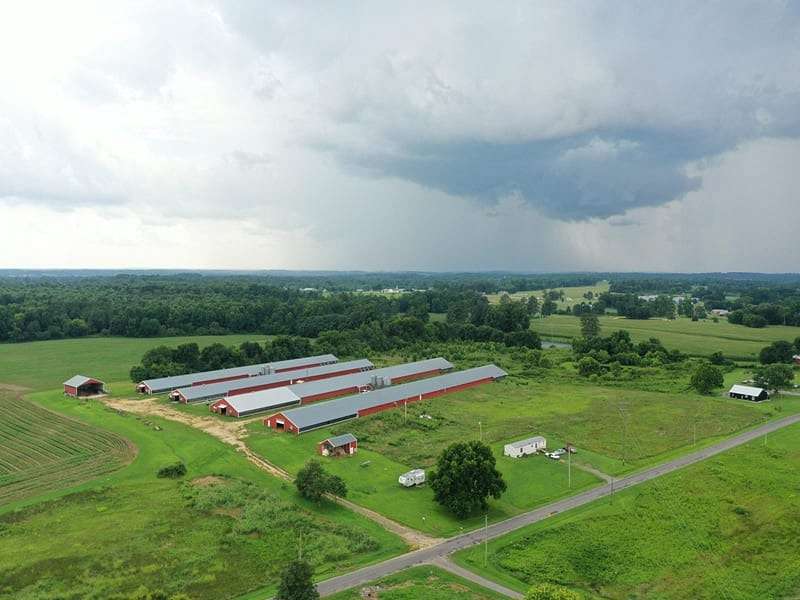 19.5 Acres of Agricultural Land for Sale in Fyffe, Alabama